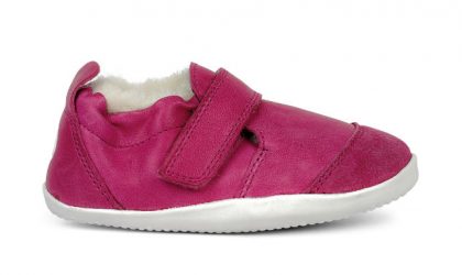 raspberry
