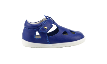 Blueberry